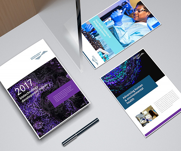 薯條包裝設(shè)計案例分析