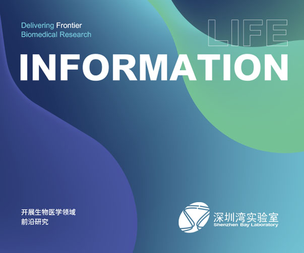 廈門標志設計：華僑文化與現代都市的多元融合